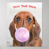 Poster Chien mignon, bulle de gomme, nom ou message (Devant)