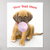 Poster Chien mignon, bulle de gomme, nom ou message (Devant)