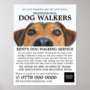 Poster Chien Mignon, Publicité de Service de Promenade de