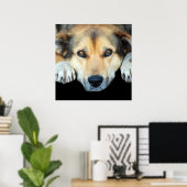 Poster Chien mignon sur n'importe quel arrière - plan cou (Bureau à domicile)