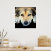 Poster Chien mignon sur n'importe quel arrière - plan cou (Cuisine)