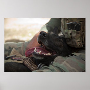 Poster Chien militaire allemand berger souriant