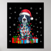 Poster Chien Moche Noël Éclairage Santa Hat Pointeur Angl (Devant)