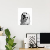Poster Chien noir et blanc animal peekabot photo (Bureau à domicile)