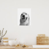 Poster Chien noir et blanc animal peekabot photo (Cuisine)