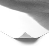 Poster Chien noir et blanc animal peekabot photo (Coin)