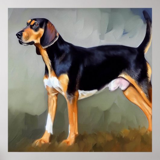 Poster Chien noir et blanc de Virginie (Devant)