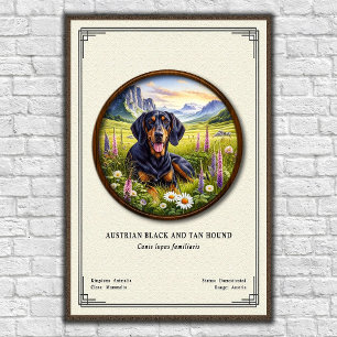 Poster Chien noir et feu autrichien Série de zoologie