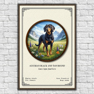 Poster Chien noir et feu autrichien Série de zoologie