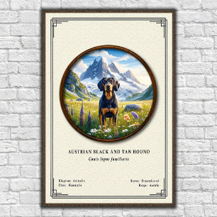 Poster Chien noir et feu autrichien Série de zoologie