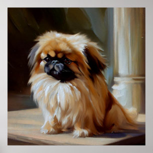 Poster Chien pekingese