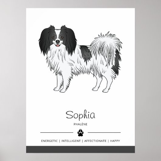 Poster Chien Phalène Noir Et Blanc Avec Nom Du Chien (Devant)