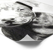 Poster Chien Pitbull au crayon imprimé par Jacob Grimm (Coin)