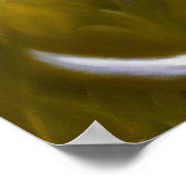 Poster Chien pointeur allemand à pois court (Coin)