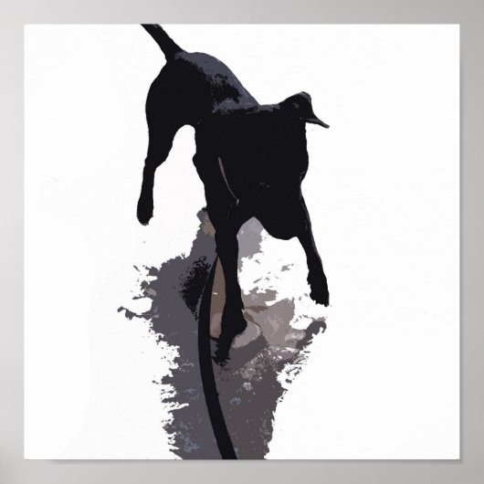 Poster chien postérigé et ombre (Devant)