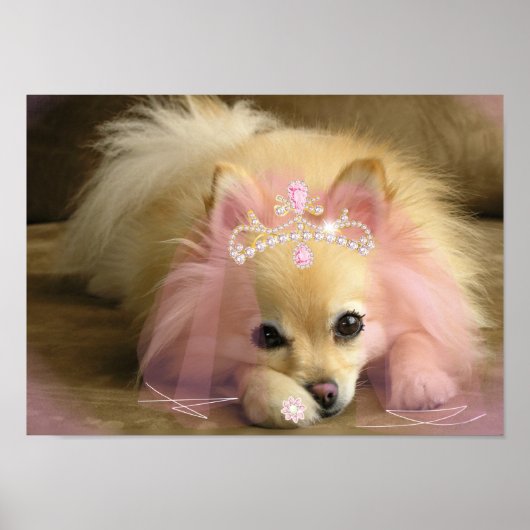 Poster chien princesse de fée avec couronne diamant (Devant)