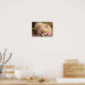 Poster chien princesse de fée avec couronne diamant (Cuisine)