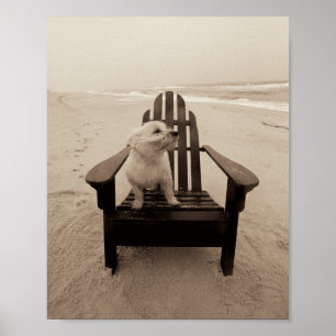 Poster Chien Profitant de la plage