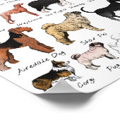 Poster Chien Purebred se reproduit (Coin)