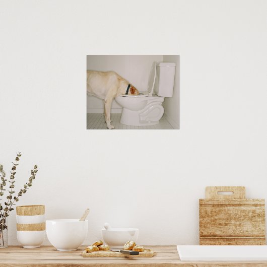 Poster Chien qui boit hors des toilettes (Cuisine)