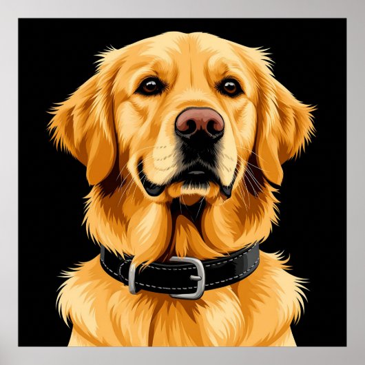Poster Chien Retriever doré avec collier noir (Devant)