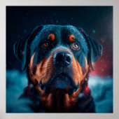 Poster chien rottweiler (Devant)