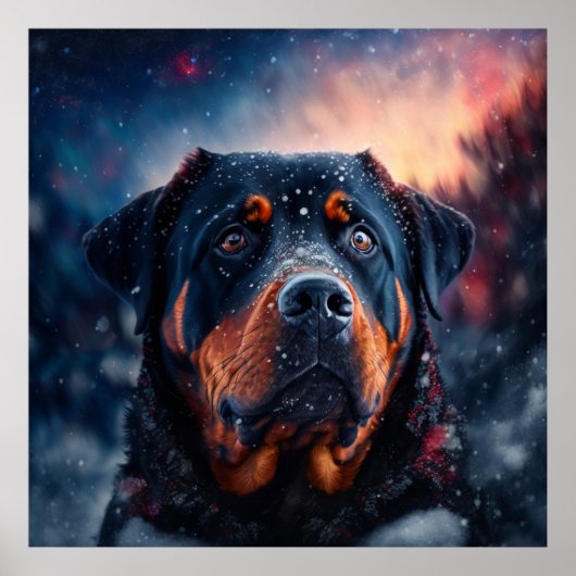 Poster chien rottweiler (Devant)