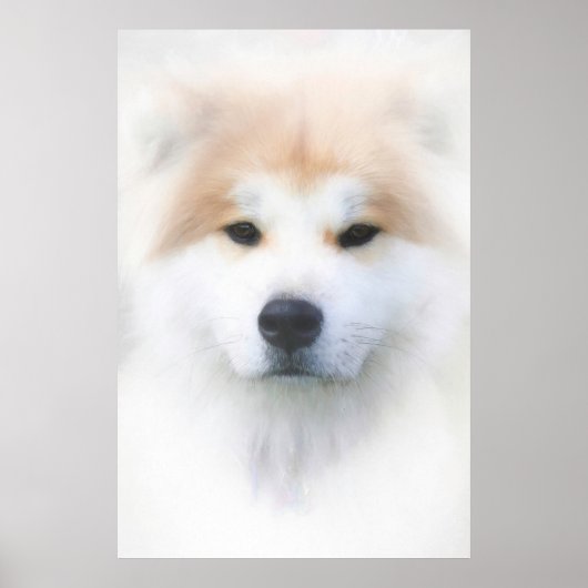 POSTER CHIEN SAMOYEN "ROI DE NEIGE" (Devant)