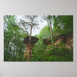 Poster Chien sautant de Stand Rock dans Wisconsin Dells