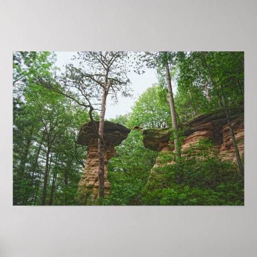 Poster Chien sautant de Stand Rock dans Wisconsin Dells (Devant)