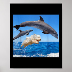 Poster Chien saute avec dauphin pour hommes femmes 