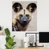 Poster Chien sauvage africain (Chien peint) (Bureau à domicile)