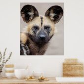 Poster Chien sauvage africain (Chien peint) (Cuisine)