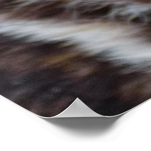 Poster Chien sauvage africain (Chien peint) (Coin)