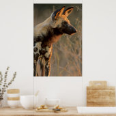 Poster Chien sauvage africain (Lycaon Pictus), Kruger (Cuisine)