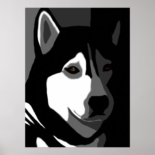 Poster Chien sibérien Husky 162 (Devant)