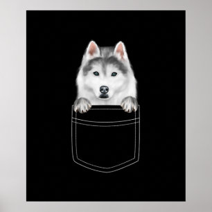 Poster Chien Sibérien Husky À Poche  Drôle cadeau de l'am