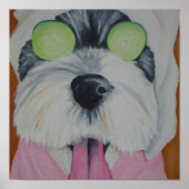 Poster Chien spa (Devant)