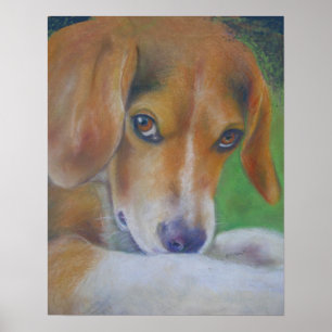 Poster Chien Sparky :  Yeux