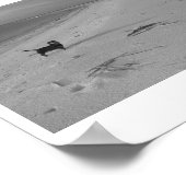 Poster Chien sur la plage (Coin)