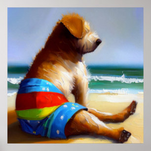 Poster Chien sur la plage