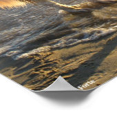 Poster Chien sur le rivage (Coin)
