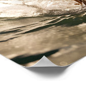 Poster Chien sur planche de surf (Coin)
