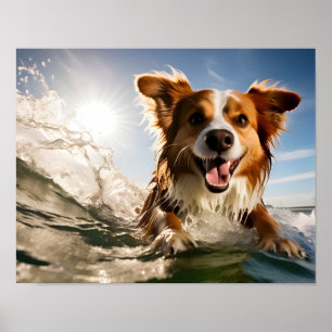 Poster Chien sur planche de surf