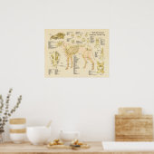 Poster Chien Système Skeletal Bones Anatomie Graphique (Cuisine)