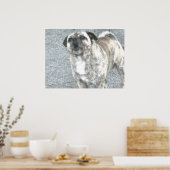 Poster Chien taureau qui aboie (Cuisine)