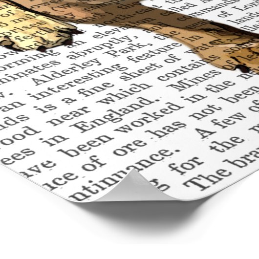 Poster Chien-taureaux français Brown avec Casquette vert (Coin)