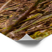 Poster Chien Terrier Wheaten. (Coin)