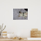 Poster Chien vampire (Cuisine)