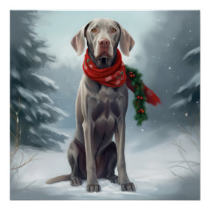 Poster Chien Weimaraner dans la neige de Noël